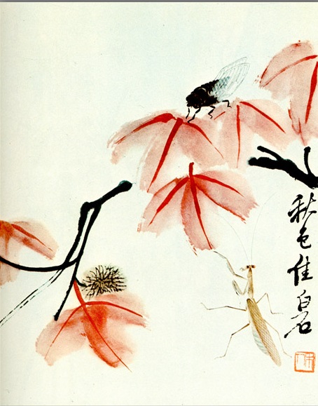 Ци Байши - Ликвидамбра Тайваньская и цикада 1950