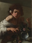 Караваджо - Мальчик, укушенный ящерицей 1594-1595