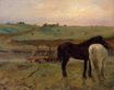 Эдгар Дега - Лошади на лугу 1871