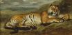 Отдыхающий тигр 1830