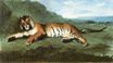Тигр 1830