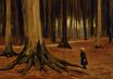 Винсент Ван Гог - Девочка в лесу 1882