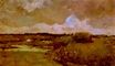 Marshy Landscape 1883