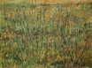 Винсент Ван Гог - Пастбище в цвету 1887
