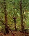 Винсент Ван Гог - Деревья и подлесок 1887