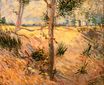 Винсент Ван Гог - Деревья в поле в солнечный день 1887