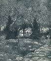 Парк в Арле. Вид на вход сквозь деревья 1888
