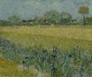 View of Arles with Irises in the Foreground 1888