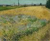 Пшеничное поле и предгорье Старых Альп на заднем плане 1888