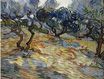 Винсент Ван Гог - Оливковые деревья, ярко-синее небо 1889