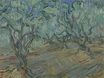 Оливковая роща, ярко-синее небо 1889