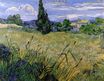 Винсент Ван Гог - Зеленое пшеничное поле с кипарисом 1889