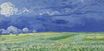 Пшеничное поле под облачным небом 1890