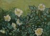 Дикие розы 1890