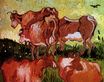 Коровы, по работе Жордэна 1890