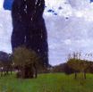 Густав Климт - Высокие тополя II 1900