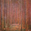 Пихтовый лес I 1901