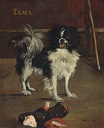Тама, японская собака 1875