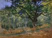 Claude Monet - The Bodmer Oak, Fontainebleau 1865
