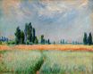 Пшеничное поле 1881