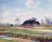 Тюльпанные поля в Сассенхайме, близ Лейдена 1886