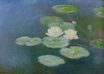 Claude Monet - Water Lilies, Evening Effect 1899