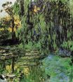 Плакучая ива и пруд с водяными лилиями 1919
