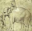 Рафаэль Санти - Ханно, слон Папы Римского Льва X
