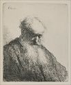 Рембрандт ван Рейн - Старик с бородой 1630