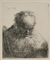 Рембрандт ван Рейн - Старик с большой бородой 1630
