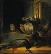 Рембрандт ван Рейн - Мертвые павлины 1636