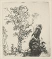 Рембрандт ван Рейн - Эскиз дерева 1638