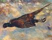 Огюст Ренуар - Мертвый фазан в снегу 1879