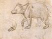 Этюд движения медведя 1482-1485
