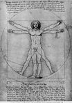 Леонардо да Винчи - Витрувианский человек. Пропорции человеческой фигуры 1492