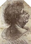 Леонардо да Винчи - Гротескная голова 1502
