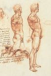 Леонардо да Винчи - Анатомия, мужской торс обнаженный и сцены битвы 1505