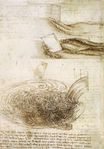 Леонардо да Винчи - Рисунок водных препятствий и падений 1508