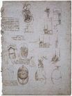 Набросок виллы Мельци и анатомическое исследование 1513