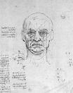 Леонардо да Винчи - Набросок пропорций головы и глаз