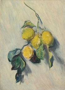 Клод Моне - Ветка лимонного дерева 1884