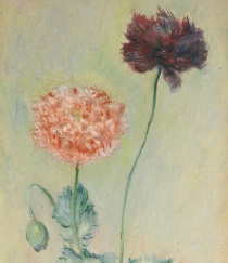 Клод Моне - Маки красные и розовые 1883